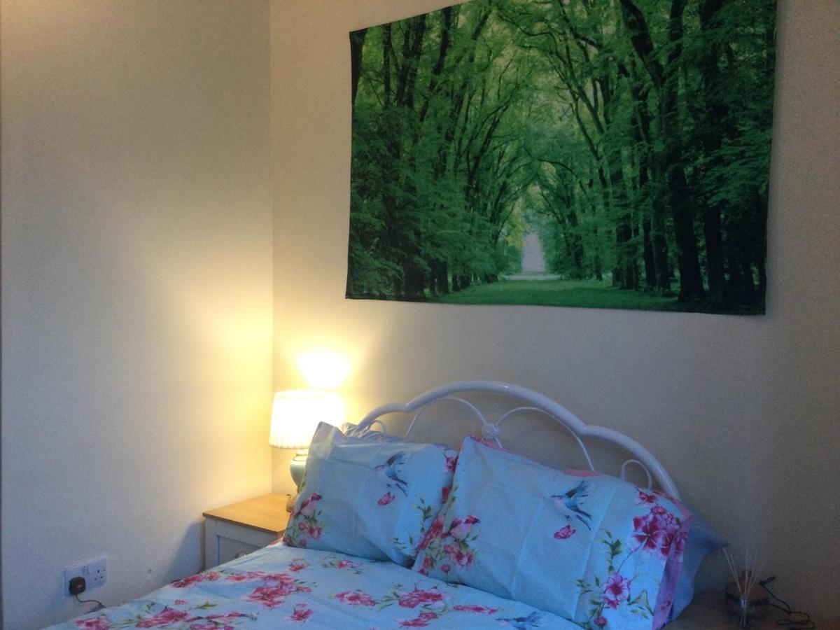 Tdm Bachelot Lettings Ltd